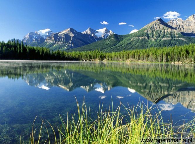 Herbert Lake and Bow Range, Canadian Rockies, Alberta, Tapety Widoki, Widoki tapety na pulpit, Widoki
