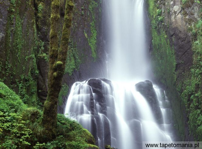 Kentucky Falls, Siuslaw National Forest, Oregon, Tapety Widoki, Widoki tapety na pulpit, Widoki