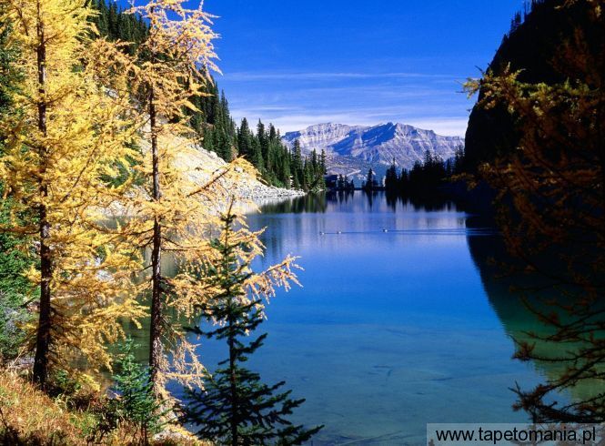 Lake Agnes, Banff National Park, Canada, Tapety Widoki, Widoki tapety na pulpit, Widoki