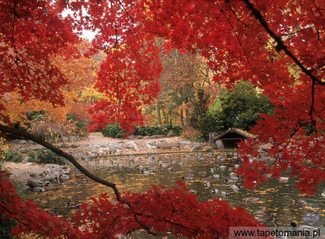 Lithia Park in Autumn, Ashland, Oregon, Tapety Widoki, Widoki tapety na pulpit, Widoki