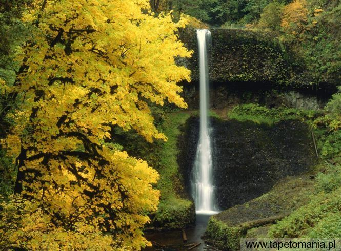 Middle North Falls, Silver Falls, Oregon, Tapety Widoki, Widoki tapety na pulpit, Widoki