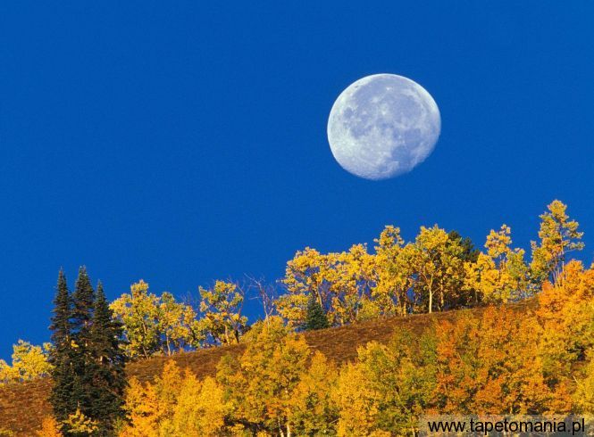Moon Setting at First Light, Crested Butte, Colorado, Tapety Widoki, Widoki tapety na pulpit, Widoki
