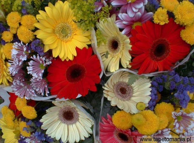flowersb, Tapety Kwiaty, Kwiaty tapety na pulpit, Kwiaty