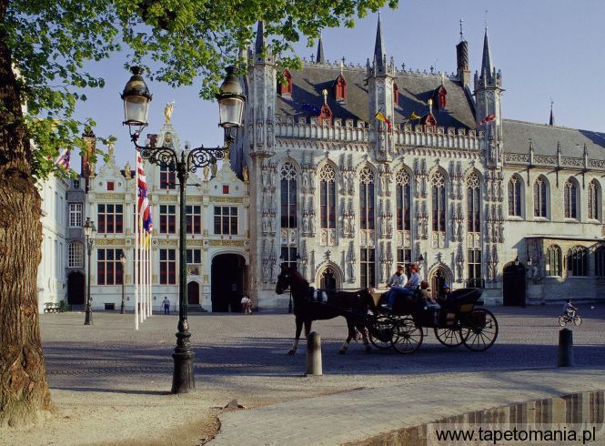 Horse Drawn Carriage, Town Hall, Brugge, Belgium, Tapety Miasta, Miasta tapety na pulpit, Miasta