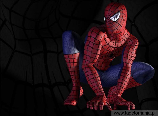 Spider Man 1, Tapety Komiksowe, Komiksowe tapety na pulpit, Komiksowe
