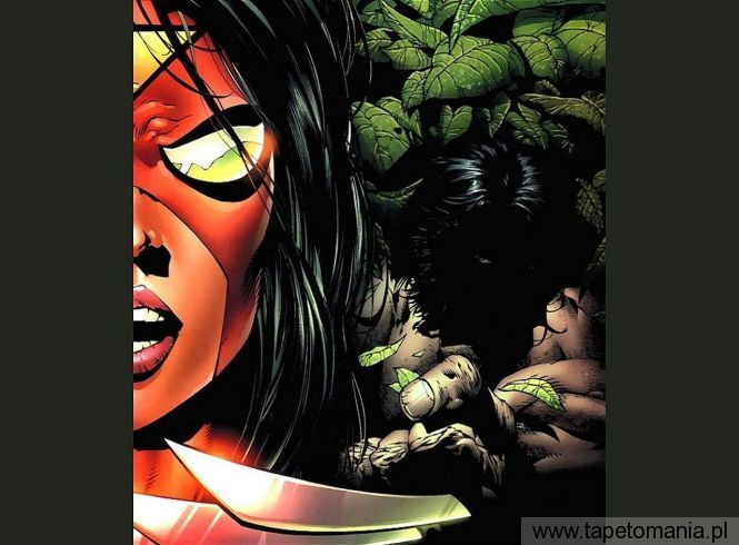 Spiderwoman vs Wolverine, Tapety Komiksowe, Komiksowe tapety na pulpit, Komiksowe