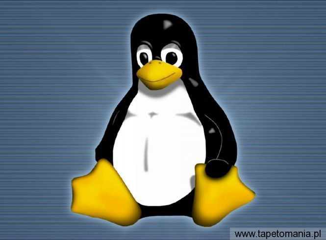 Linux 01, Tapety Linux, Linux tapety na pulpit, Linux