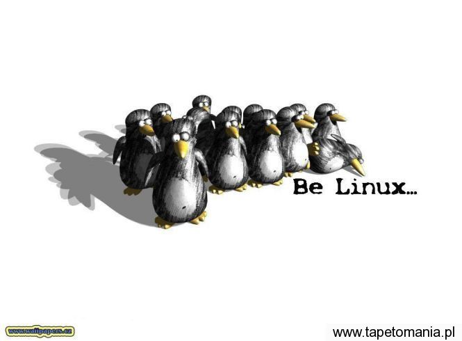 Linux 11, Tapety Linux, Linux tapety na pulpit, Linux
