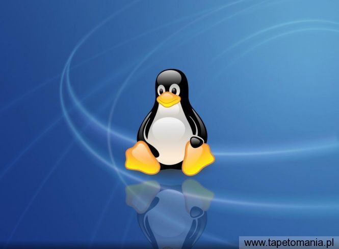 Linux 24, Tapety Linux, Linux tapety na pulpit, Linux