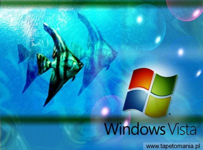 Windows Vista 077, Tapety Windows, Windows tapety na pulpit, Windows
