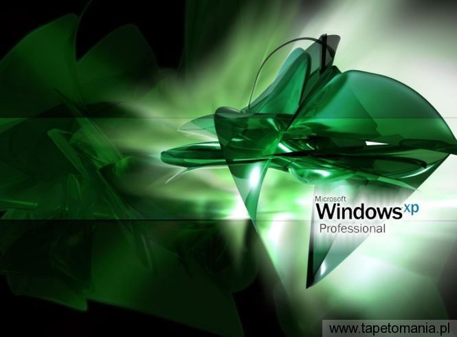 Windows XP 005, Tapety Windows, Windows tapety na pulpit, Windows