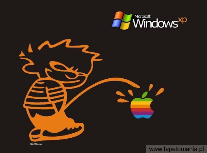 Windows XP 011, Tapety Windows, Windows tapety na pulpit, Windows
