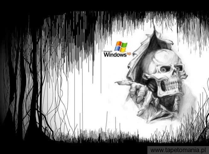Windows XP 033, Tapety Windows, Windows tapety na pulpit, Windows