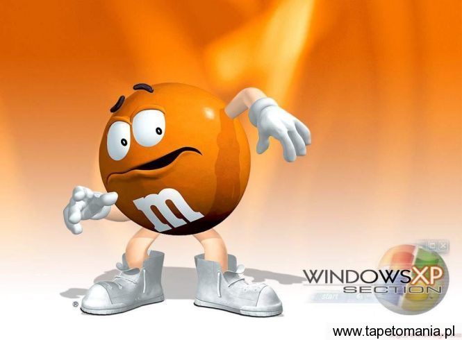 Windows XP 081, Tapety Windows, Windows tapety na pulpit, Windows