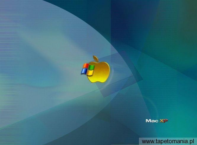 Windows XP 089, Tapety Windows, Windows tapety na pulpit, Windows