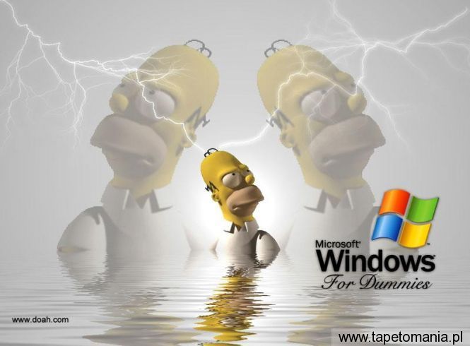 Windows XP 111, Tapety Windows, Windows tapety na pulpit, Windows