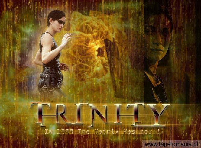 Trinity 4, Tapety Film, Film tapety na pulpit, Film