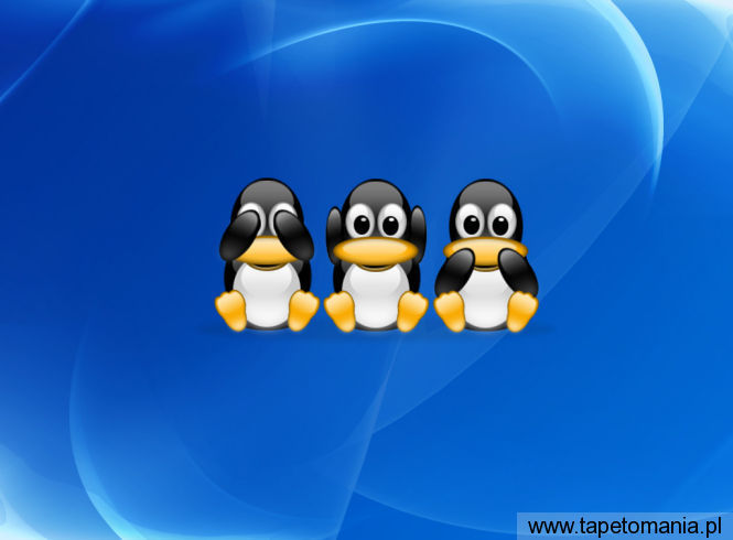 Kuantum d1, Tapety Linux, Linux tapety na pulpit, Linux
