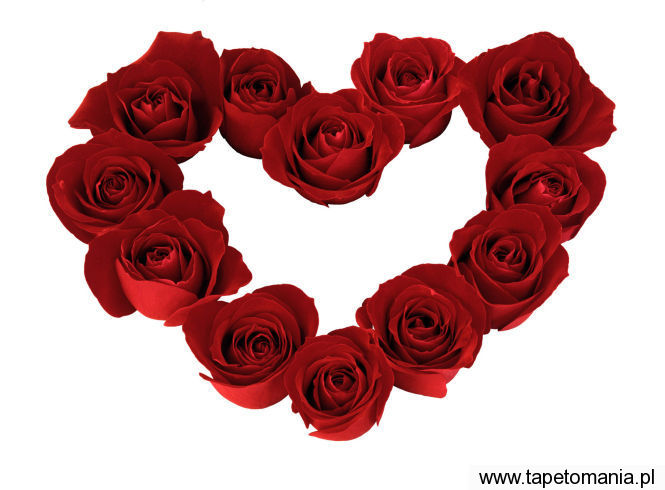 heart roses ground, Tapety Walentynki, Walentynki tapety na pulpit, Walentynki