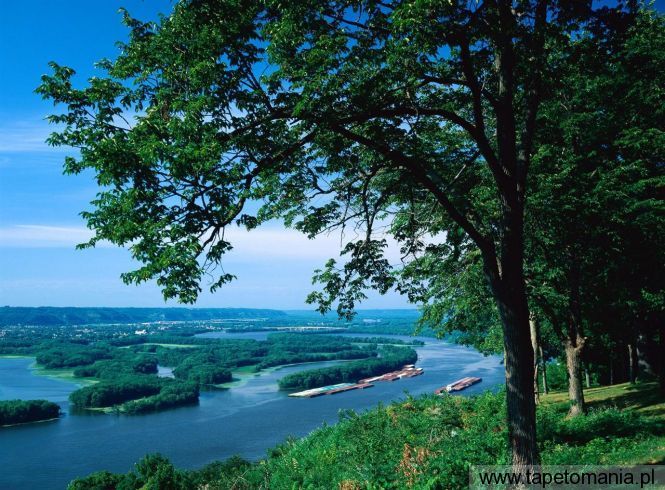 Mississippi River, Tapety Drzewa, Drzewa tapety na pulpit, Drzewa