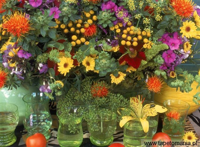 Garden Variety, Tapety Kwiaty, Kwiaty tapety na pulpit, Kwiaty