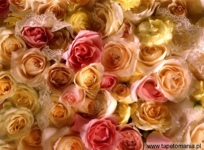 Rose Bridal Bouquet, Tapety Kwiaty, Kwiaty tapety na pulpit, Kwiaty
