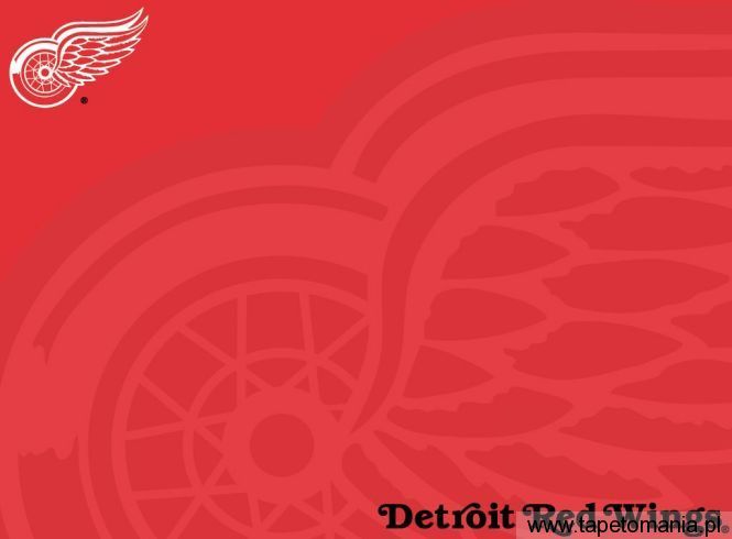detroid red wings, Tapety Hokej, Hokej tapety na pulpit, Hokej