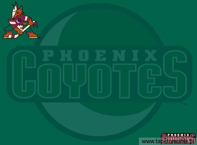 phoenix coyotes, Tapety Hokej, Hokej tapety na pulpit, Hokej