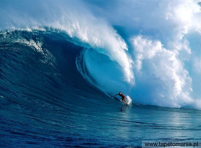 Magnitude Maui, Tapety Windsurfing, Windsurfing tapety na pulpit, Windsurfing