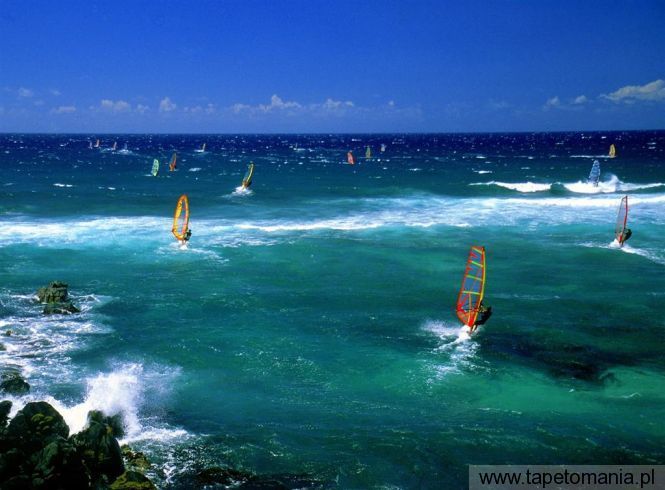windsurfers maui, Tapety Windsurfing, Windsurfing tapety na pulpit, Windsurfing
