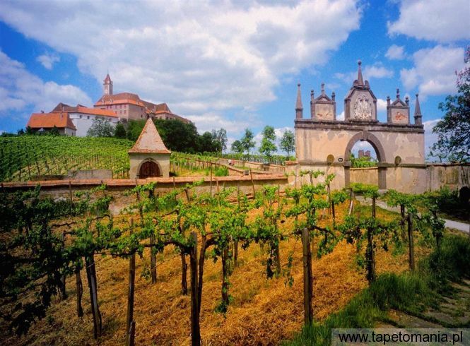 austrian vineyard, Tapety Budowle, Budowle tapety na pulpit, Budowle