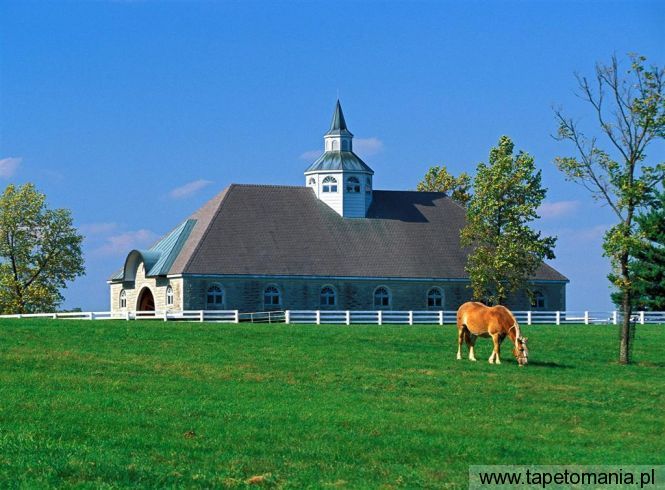 donamire horse farm, Tapety Budowle, Budowle tapety na pulpit, Budowle