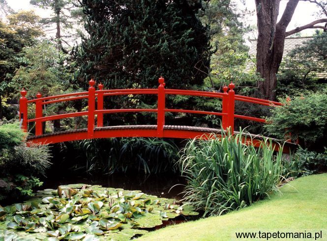 Japanese Garden, Tapety Widoki, Widoki tapety na pulpit, Widoki