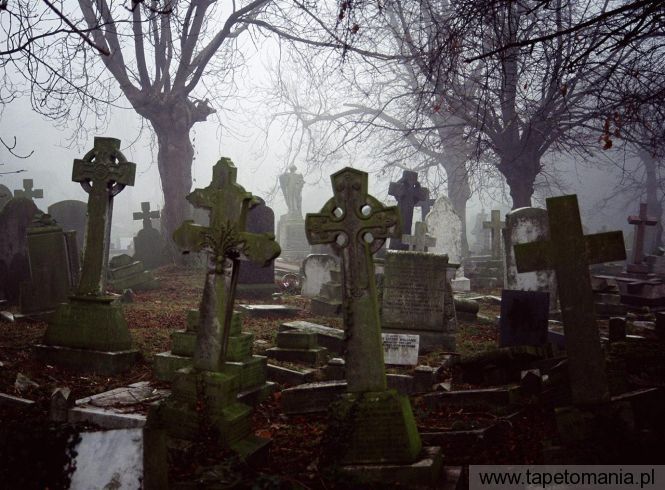 Misty Graveyard, Tapety Widoki, Widoki tapety na pulpit, Widoki