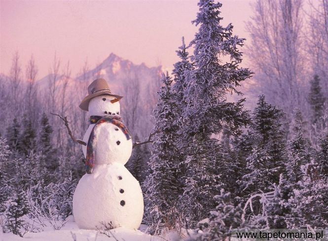 frosty the snowman, Tapety Widoki, Widoki tapety na pulpit, Widoki