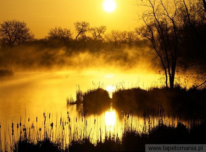 golden sunrise, Tapety Zachody słońca, Zachody słońca tapety na pulpit, Zachody słońca