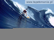 surf 008, 