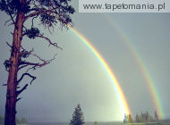rainbows 16
