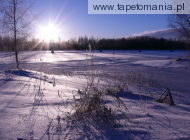 winter scene 3, 