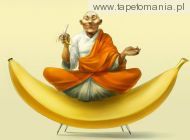 Budha Banana, 