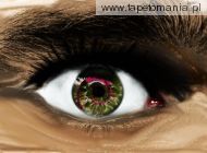 Seeing Eye, 