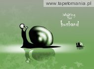 Two Snails Wating For Husband
