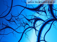 Blue Wallpapers 079