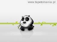 Funny 3D Animals Wallpapers 20, 