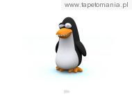 Funny 3D Animals Wallpapers 27