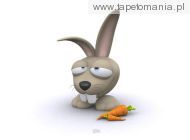 Funny 3D Animals Wallpapers 29