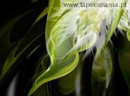 Green Wallpapers 016, 