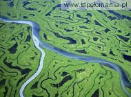 Aerial of the Copper River Delta, Alaska, 