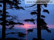Atlantic Sunrise, Acadia National Park, Maine, 