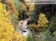 Autumn Color, Coquille River, Oregon, 